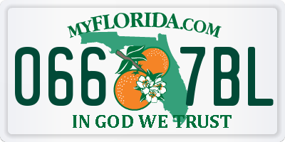 FL license plate 0667BL