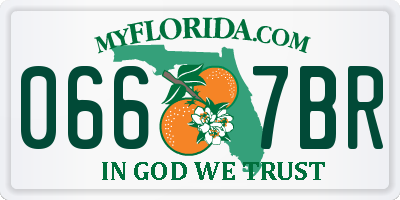 FL license plate 0667BR