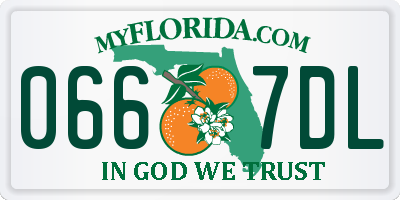FL license plate 0667DL