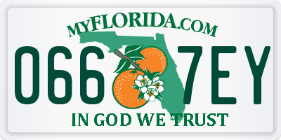 FL license plate 0667EY