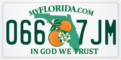 FL license plate 0667JM