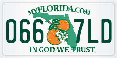 FL license plate 0667LD