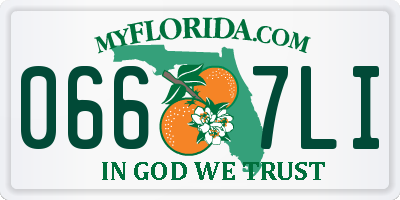 FL license plate 0667LI
