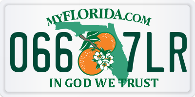 FL license plate 0667LR
