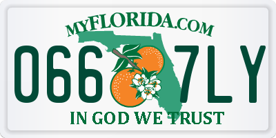 FL license plate 0667LY