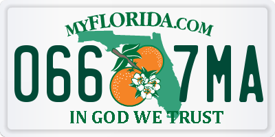 FL license plate 0667MA