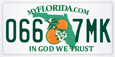 FL license plate 0667MK