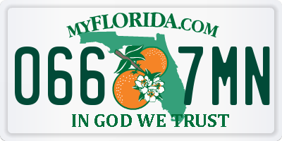 FL license plate 0667MN