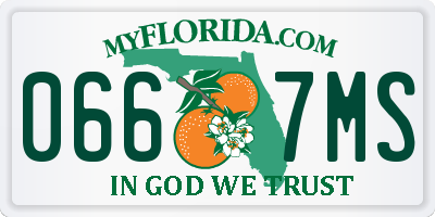 FL license plate 0667MS