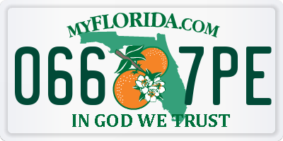 FL license plate 0667PE