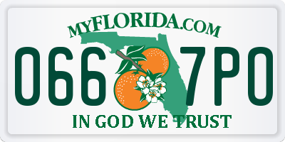 FL license plate 0667PO