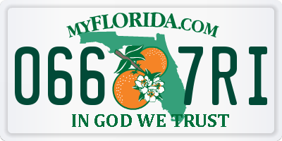 FL license plate 0667RI