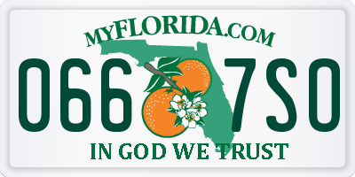 FL license plate 0667SO