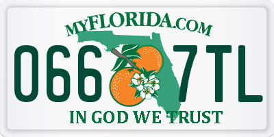 FL license plate 0667TL