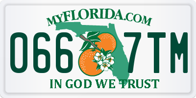 FL license plate 0667TM