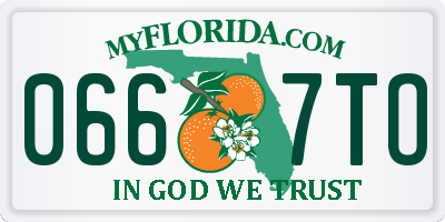 FL license plate 0667TO