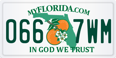 FL license plate 0667WM