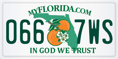 FL license plate 0667WS