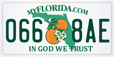 FL license plate 0668AE