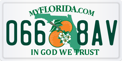 FL license plate 0668AV