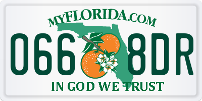 FL license plate 0668DR