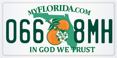 FL license plate 0668MH