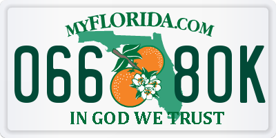 FL license plate 0668OK