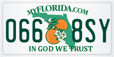FL license plate 0668SY