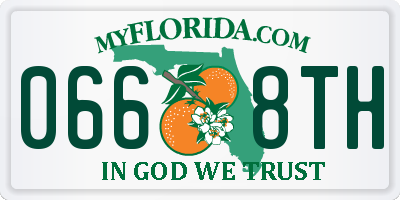 FL license plate 0668TH
