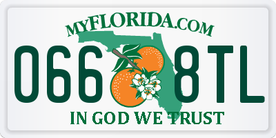FL license plate 0668TL