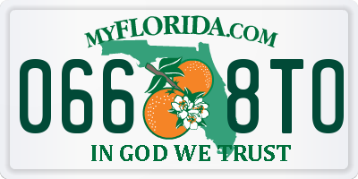 FL license plate 0668TO