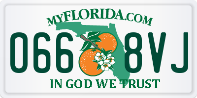 FL license plate 0668VJ