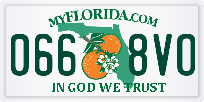 FL license plate 0668VO