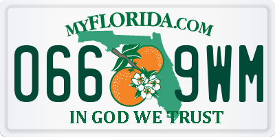 FL license plate 0669WM