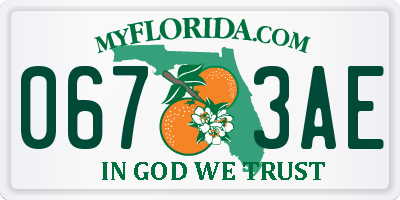 FL license plate 0673AE