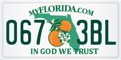FL license plate 0673BL