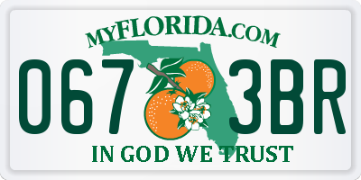 FL license plate 0673BR