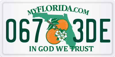 FL license plate 0673DE