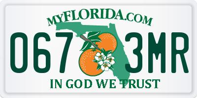 FL license plate 0673MR