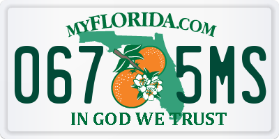 FL license plate 0675MS