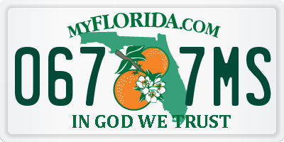 FL license plate 0677MS