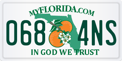 FL license plate 0684NS