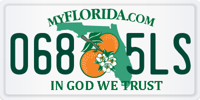 FL license plate 0685LS
