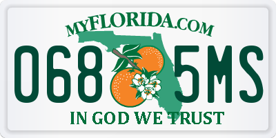 FL license plate 0685MS