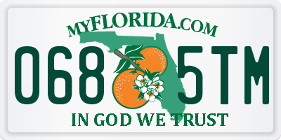 FL license plate 0685TM