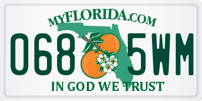 FL license plate 0685WM