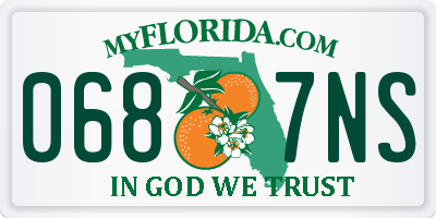 FL license plate 0687NS