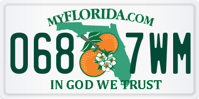 FL license plate 0687WM