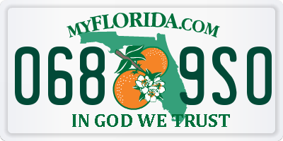 FL license plate 0689SO