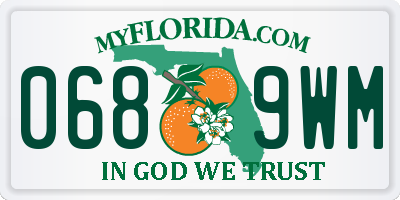 FL license plate 0689WM